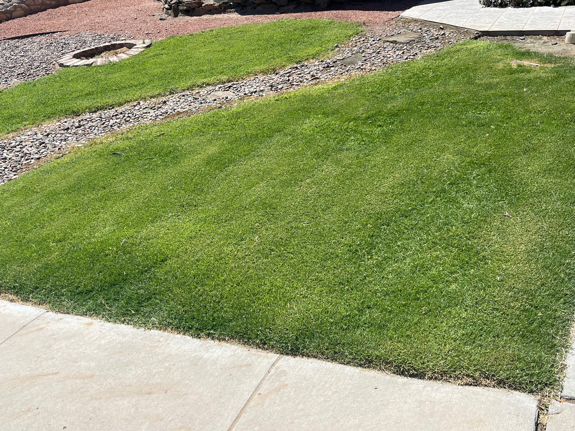 Applying liquid fertilizer and humic acid to a lawn