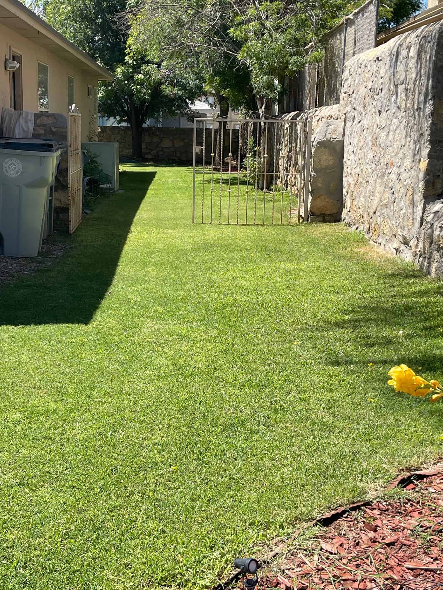 Beautifully maintained weed-free lawn in El Paso